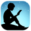Send to Kindle icon