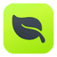 Mint icon