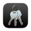 Watchkey icon