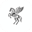 Zo icon
